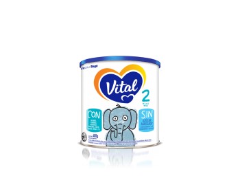 LECHE INFANTIL ETAPA 2 POLVO 400 g
