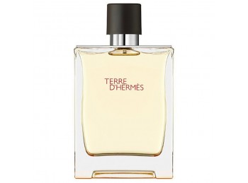 Terre D´HermÈS Eau De Toilette 100 Ml 